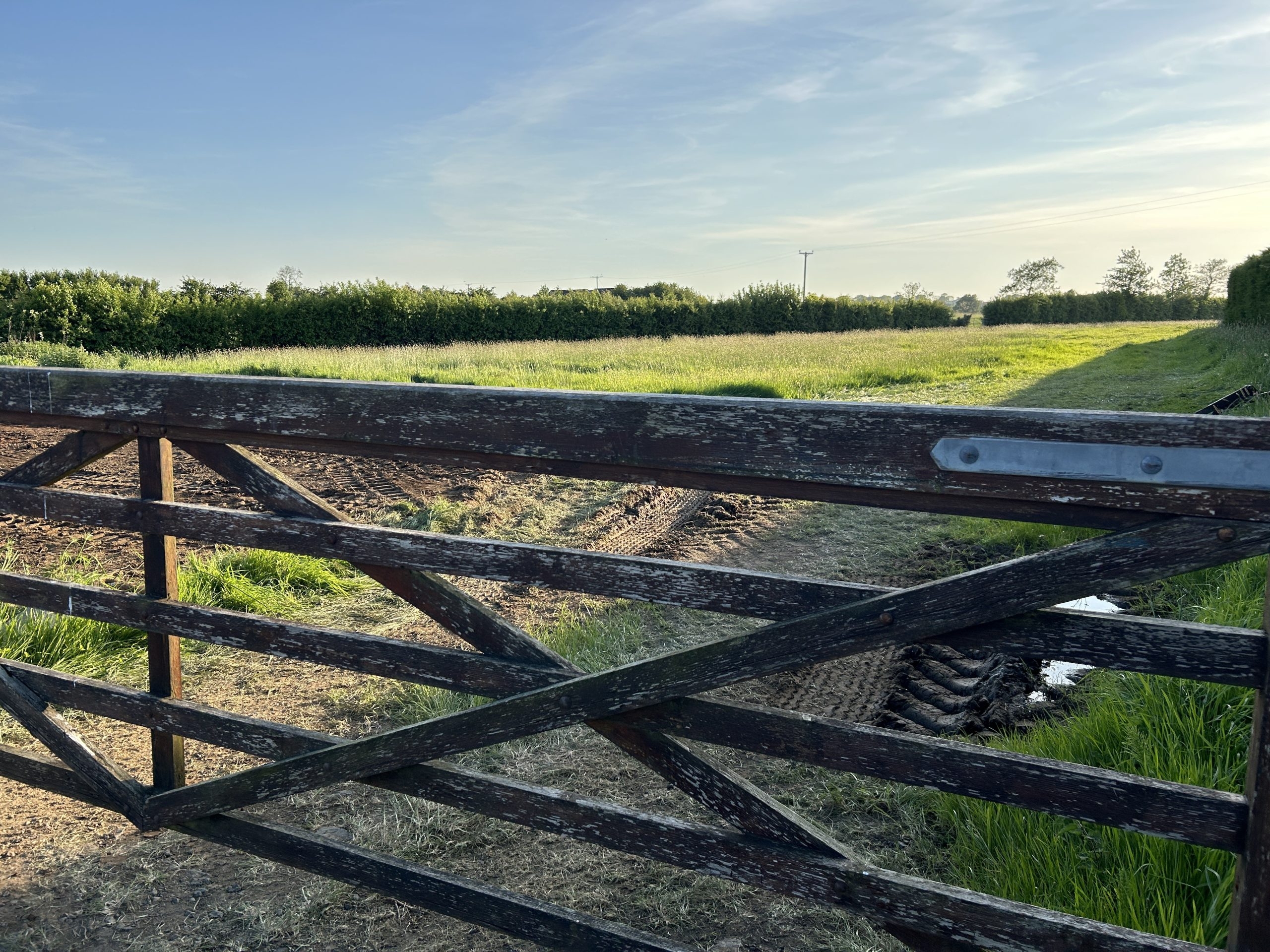 UFU: NI NAP proposals ‘could devastate local farming'