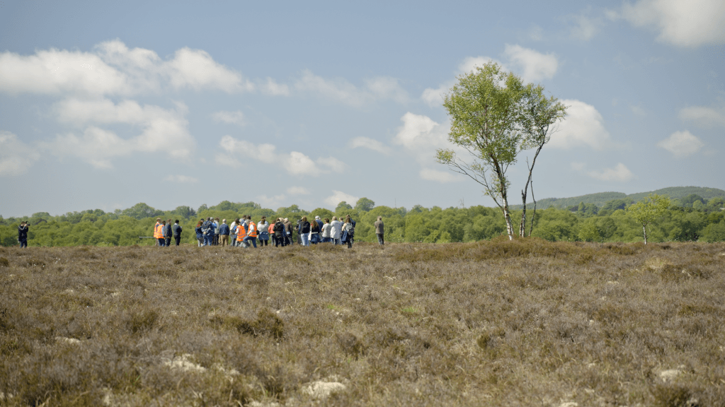 Watch: The transformation of peatlands on a farm in Co. Offaly