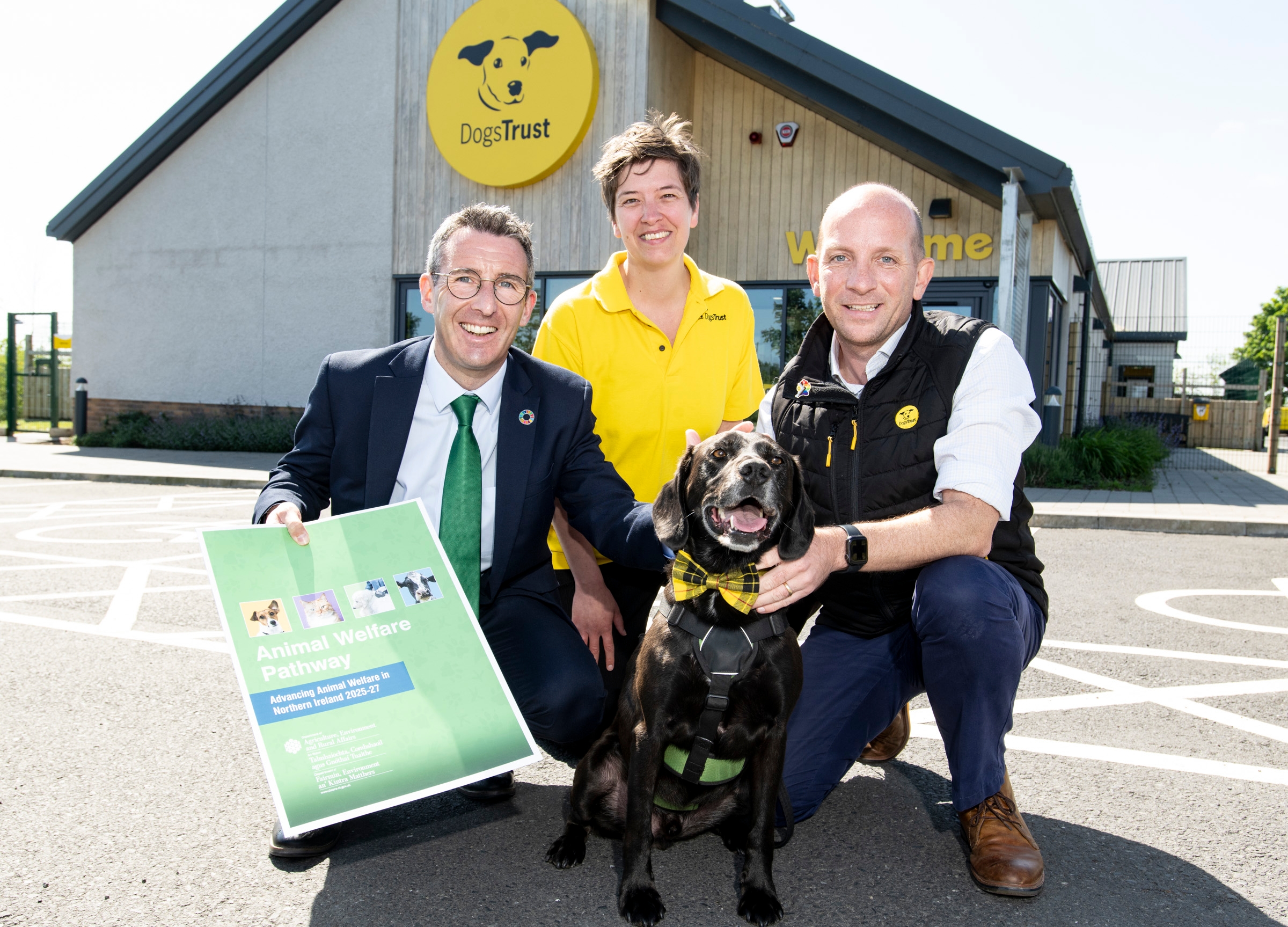 NI minister proposes ‘radical' plan on animal welfare