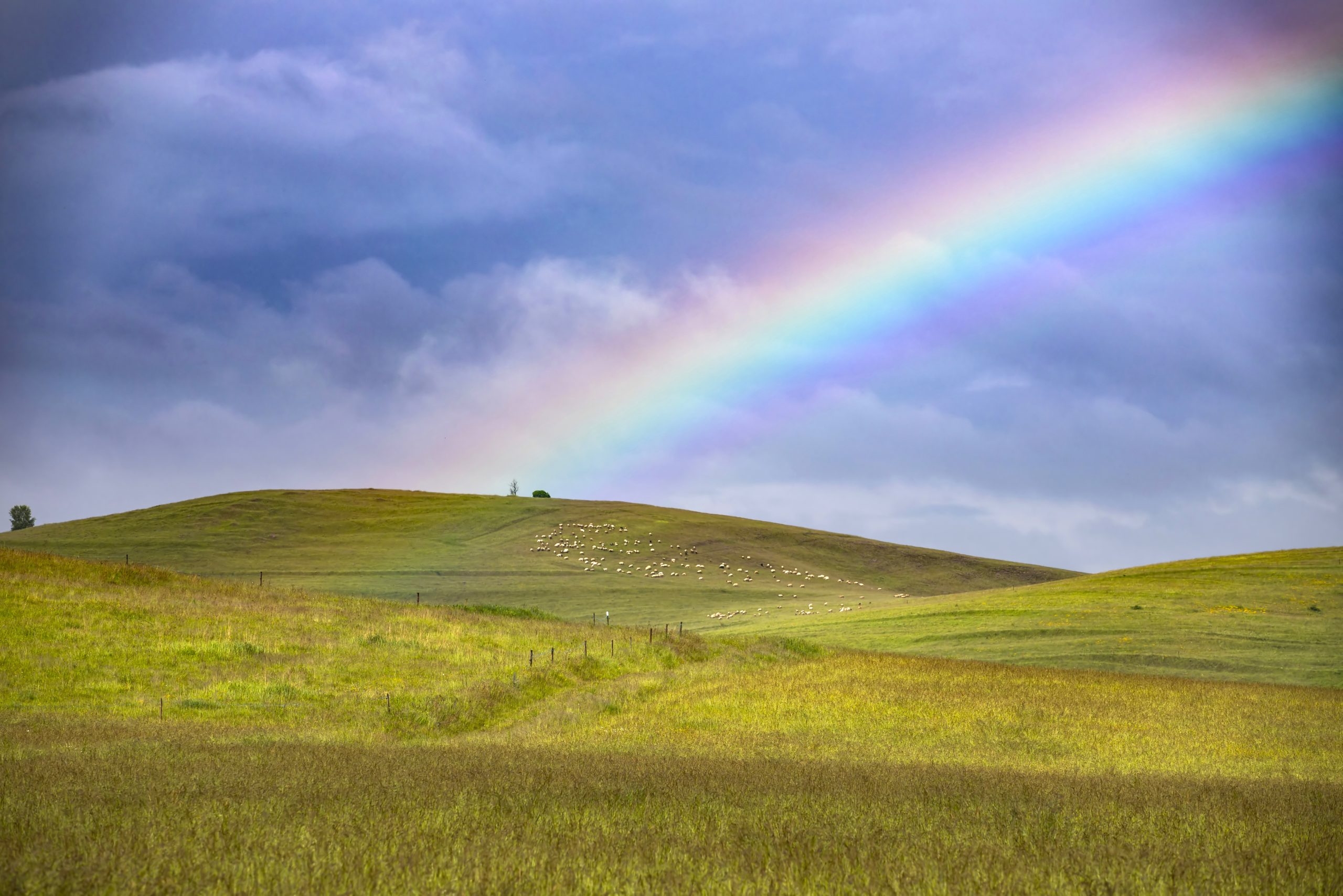 EPA: Agriculture ‘made some progress' in reducing GHG emissions