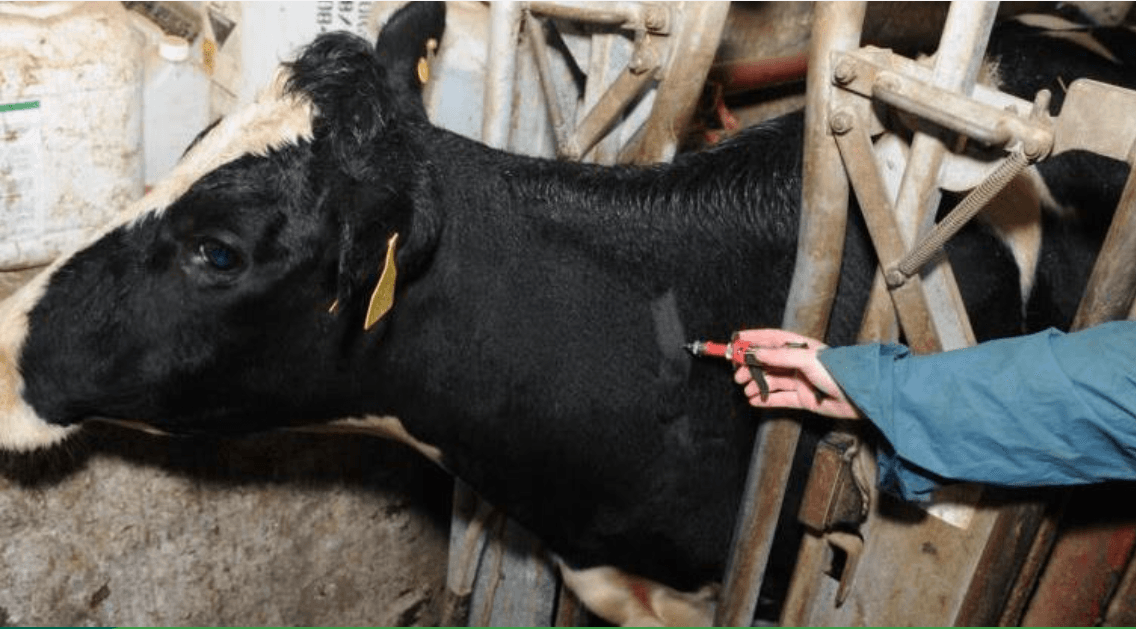 DAFM confirms rollout of backdated TB balancing payments