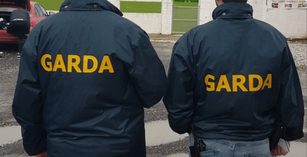 Man released from custody in Kerry farmer murder case