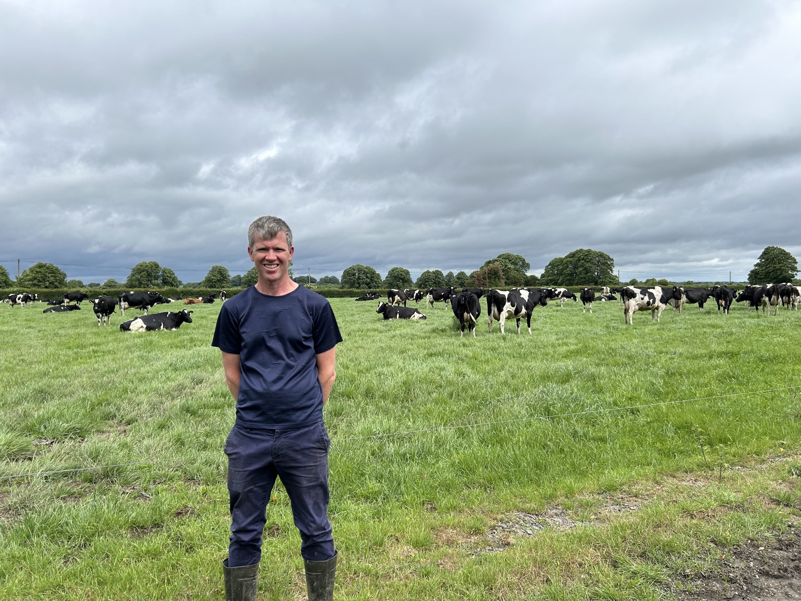 Dairy Focus: Keeping breeding simple but effective in Co. Tipperary