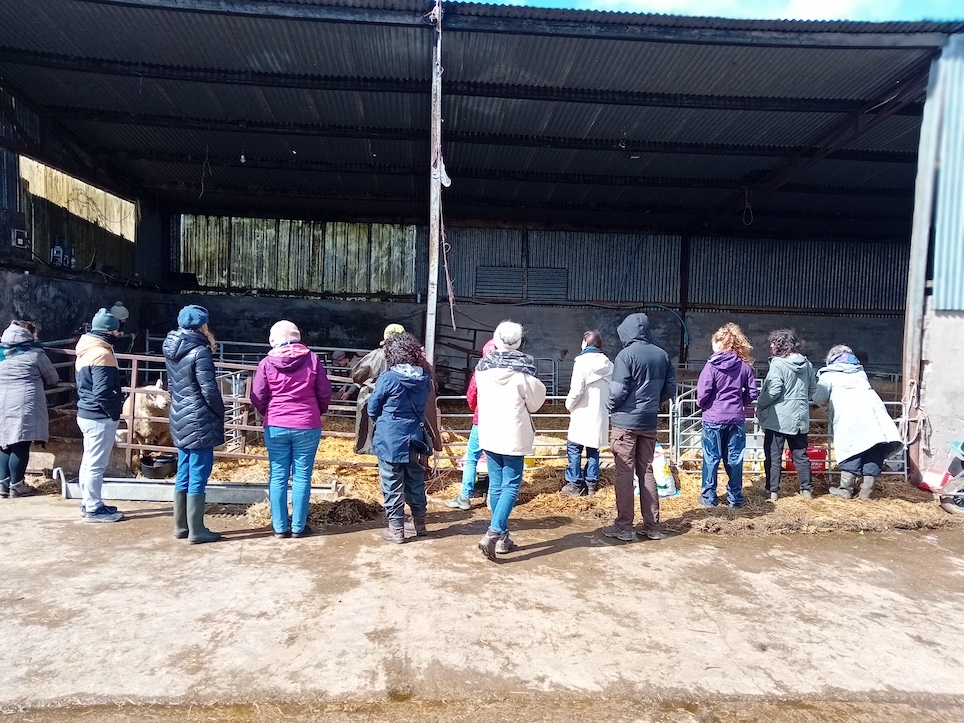 Farm walk set to explore the future of the industry