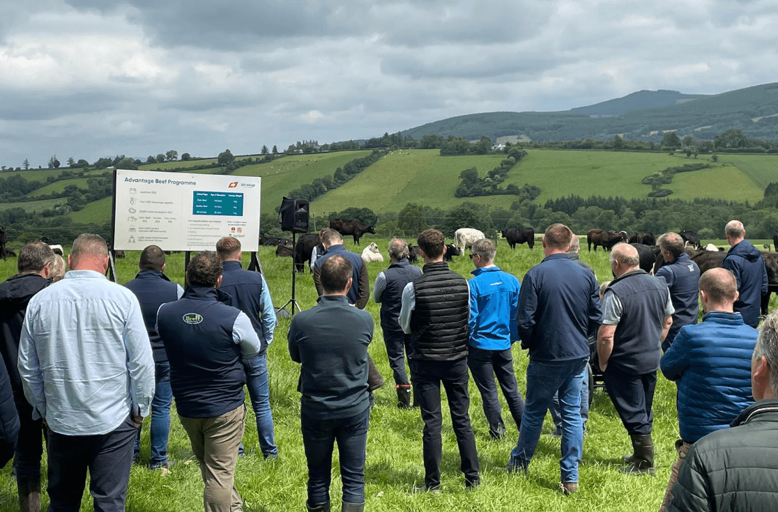 ABP Demo Farm reports 32% lower emissions while producing ‘heavier cattle'