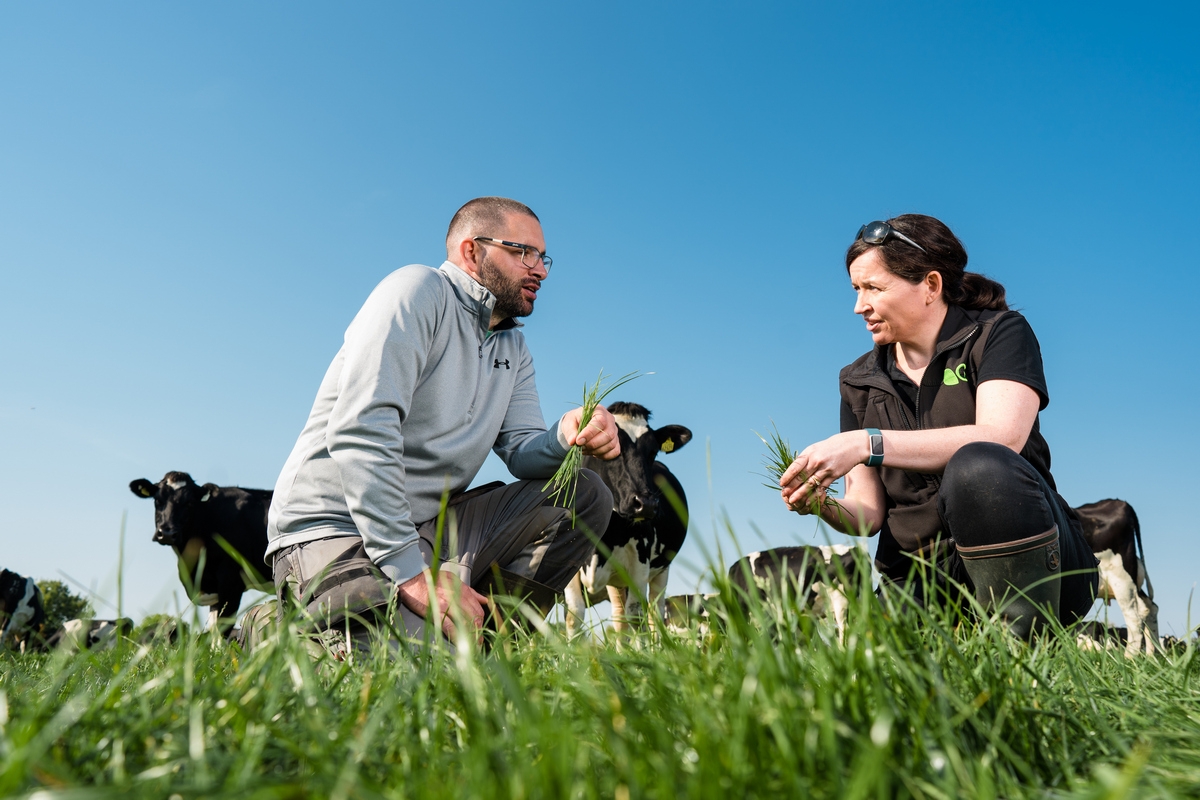 Sustainable gains: Clover success for Co. Limerick dairy farmer
