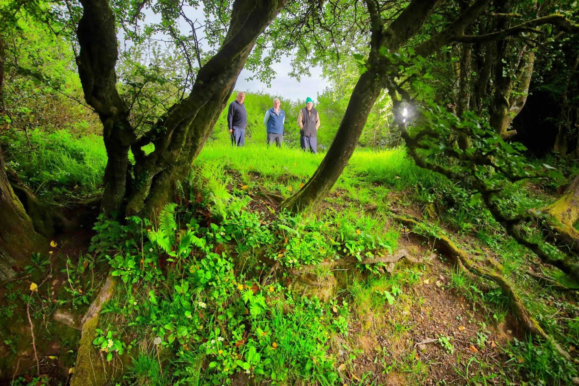 Initiative to protect natural heritage now open to community groups