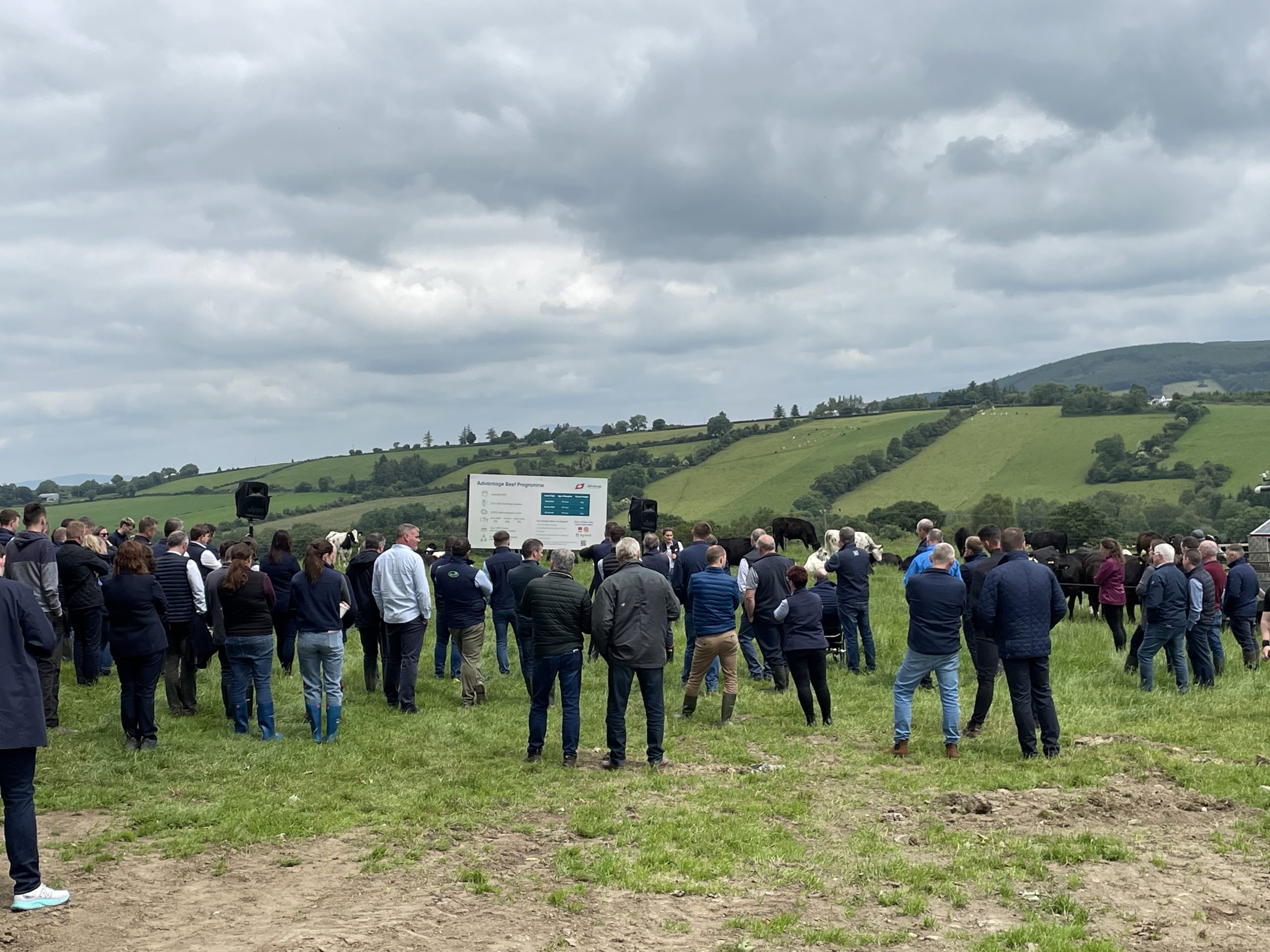 How many farmers are in the Advantage Beef Programme?