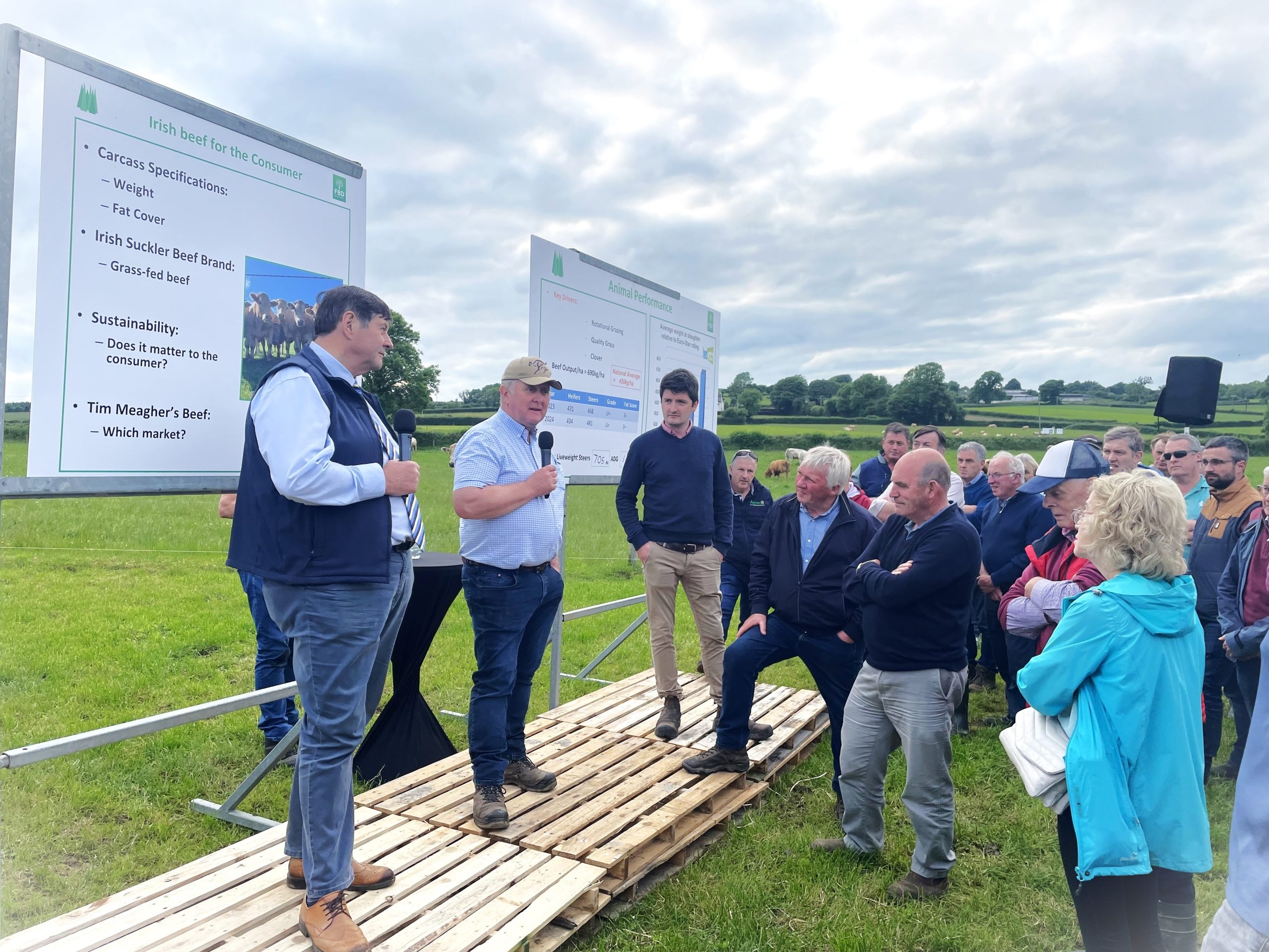 Factory insight on beef price and heavy carcass markets