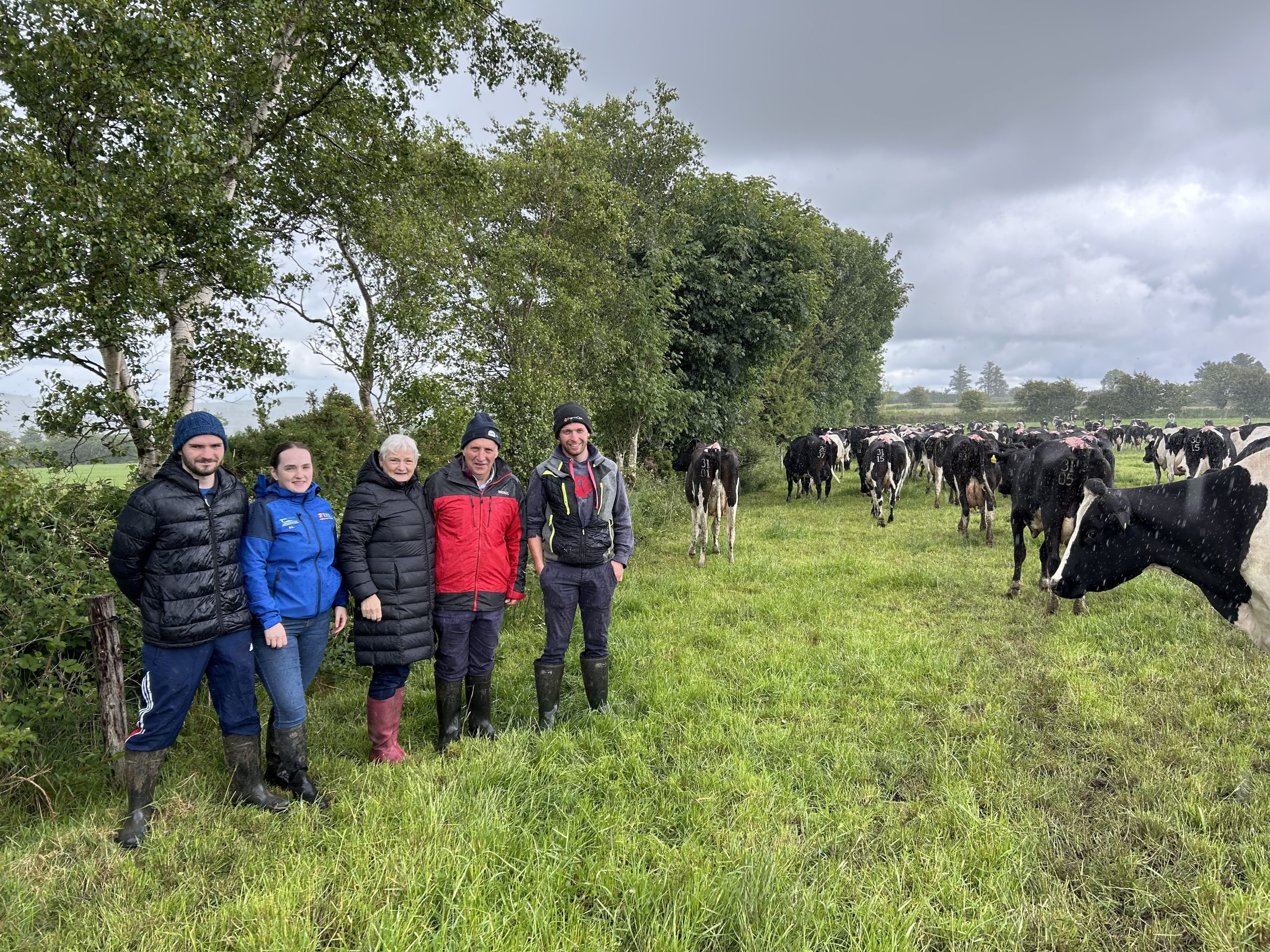 Grass quality, reseed progress and finishing up AI in Co. Cork