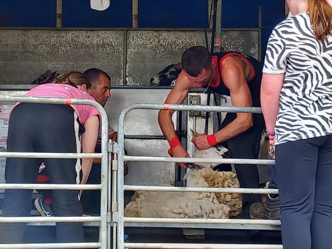 Kerry farmer to take on 50-hours of ‘shear craic' for charity