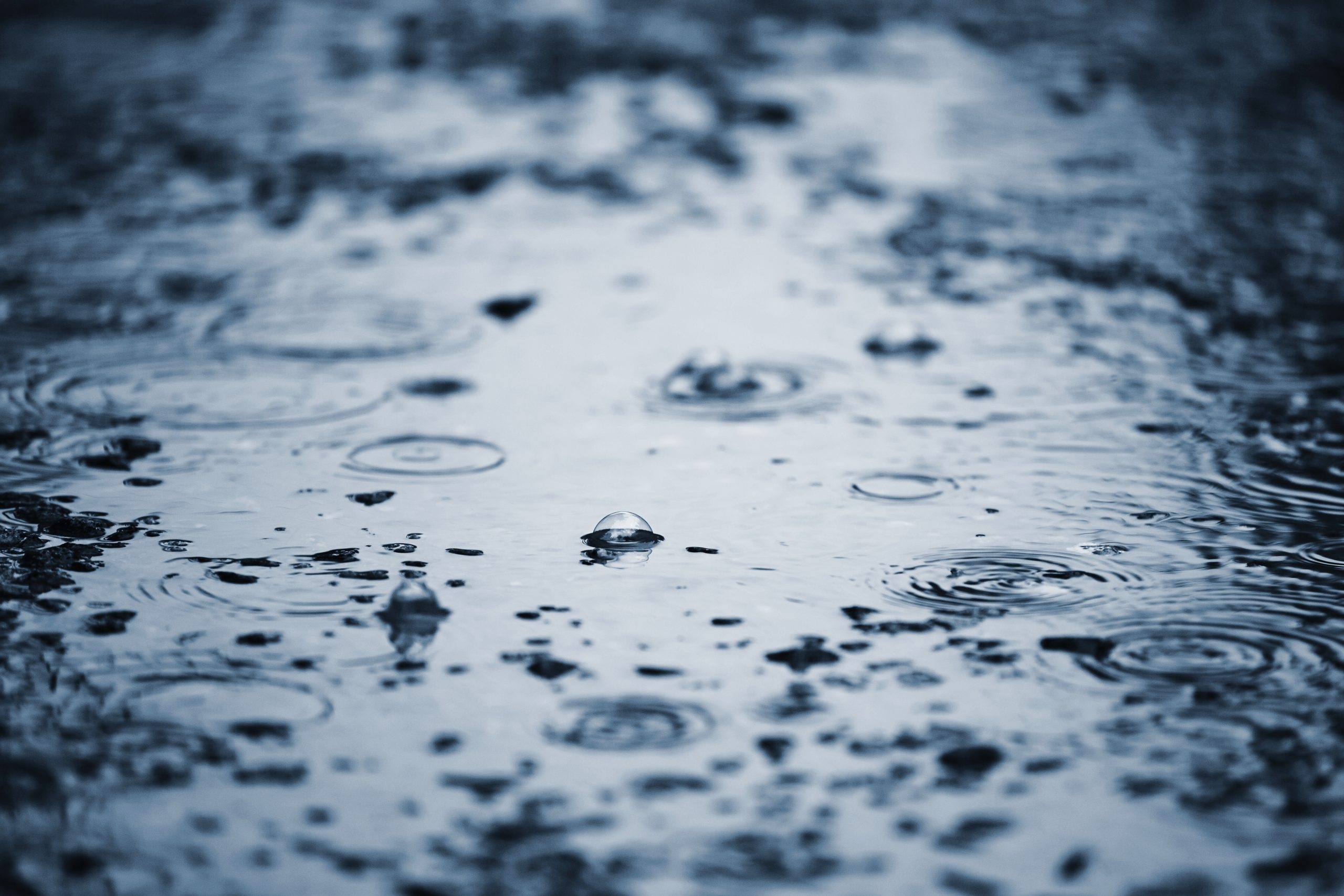 Met Éireann: Status Yellow rain warning issued for 19 counties