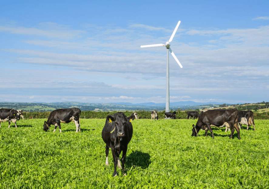 Carbery Teams Up with European Agency to Trial New Methane Reducing Tech