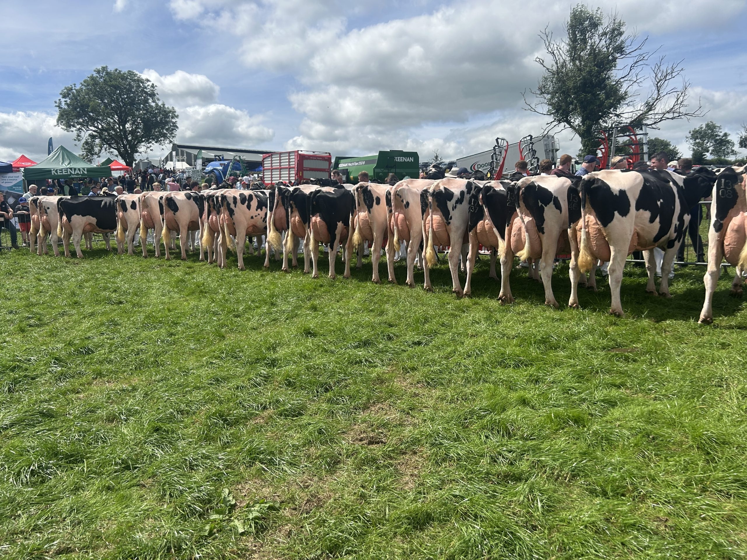 Watch Results and Action From the Ihfa Open Day