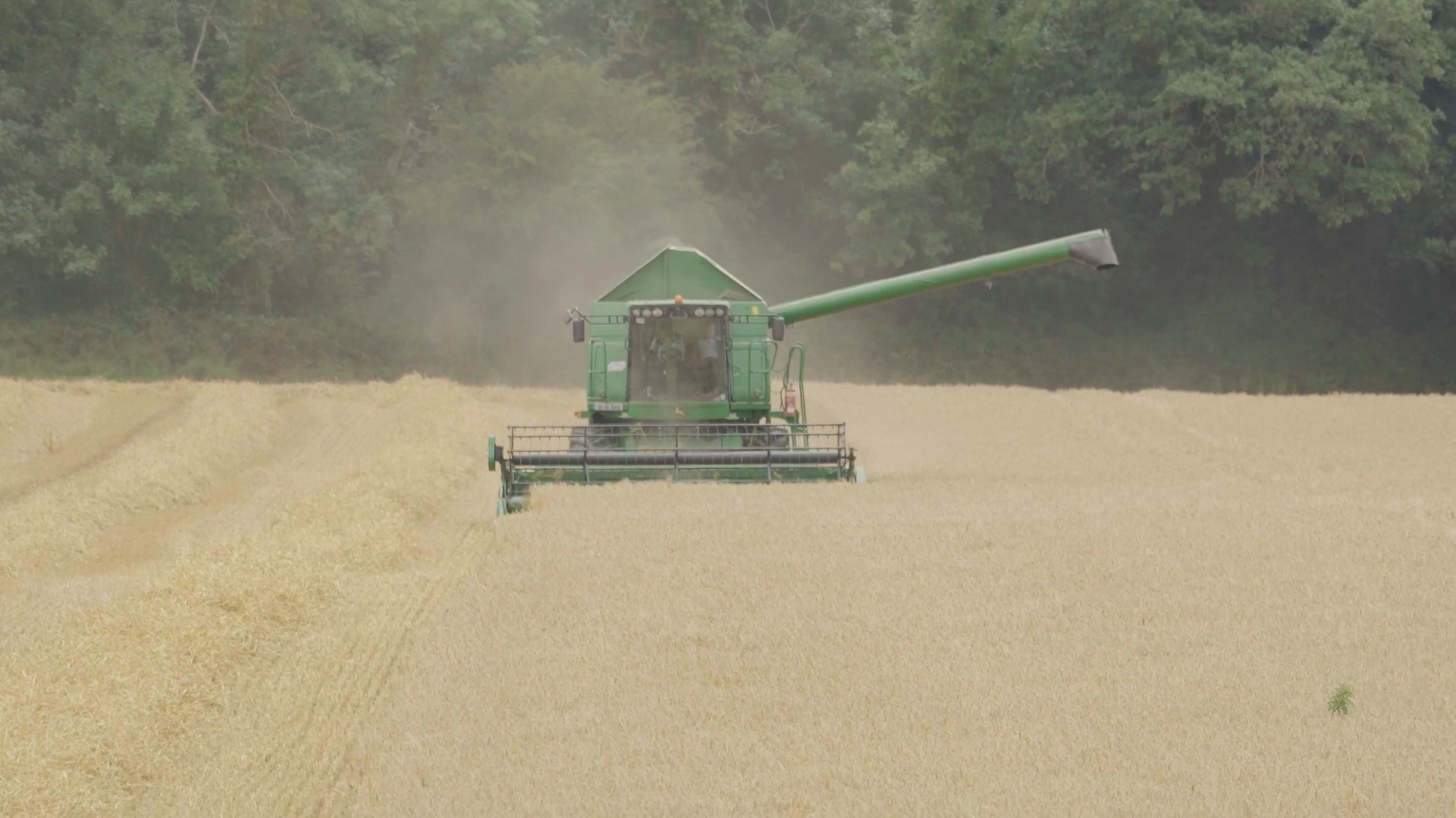 Co Kilkenny Tillage Farmer Enjoys Strong Start to the 2025 Cereal Harvest