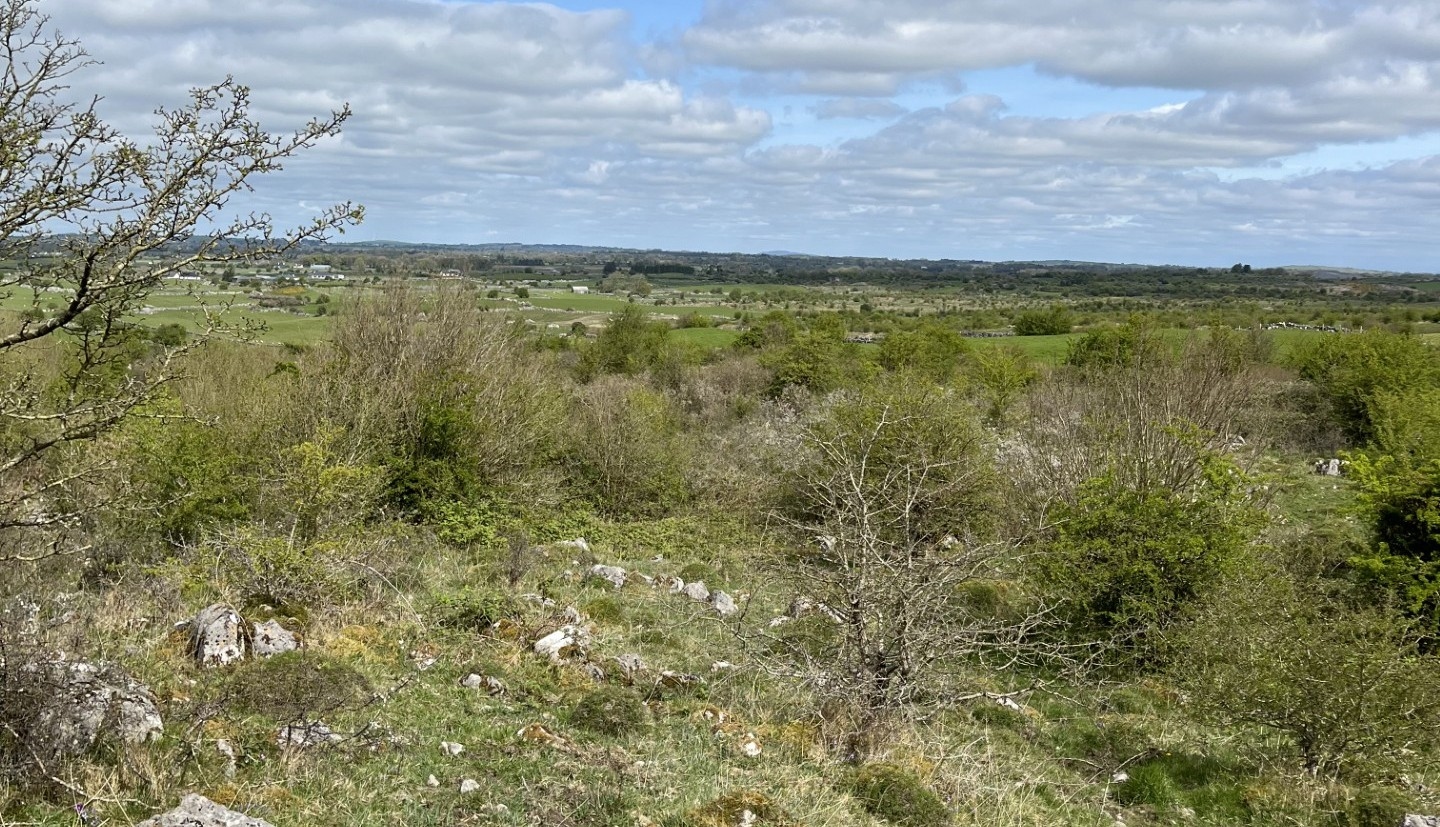 Watch: Farming 'the Rocks' in south Co. Roscommon