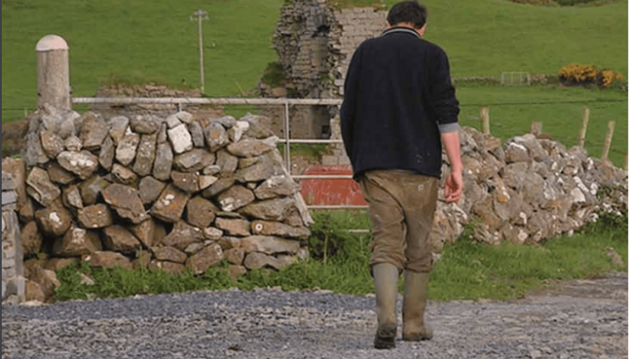 Gender equality project seeks rural men and male farmers