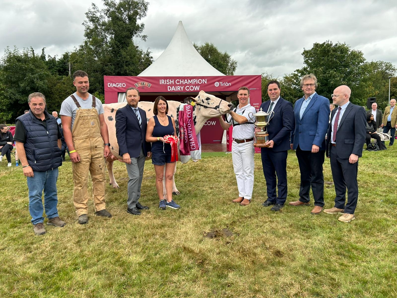 Annaghmore Fitz Atlee EX96 is the 2025 Baileys Champion Cow