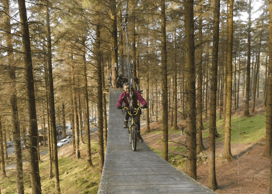 E4m Boost for Coillte to Develop New Infrastructure Projects