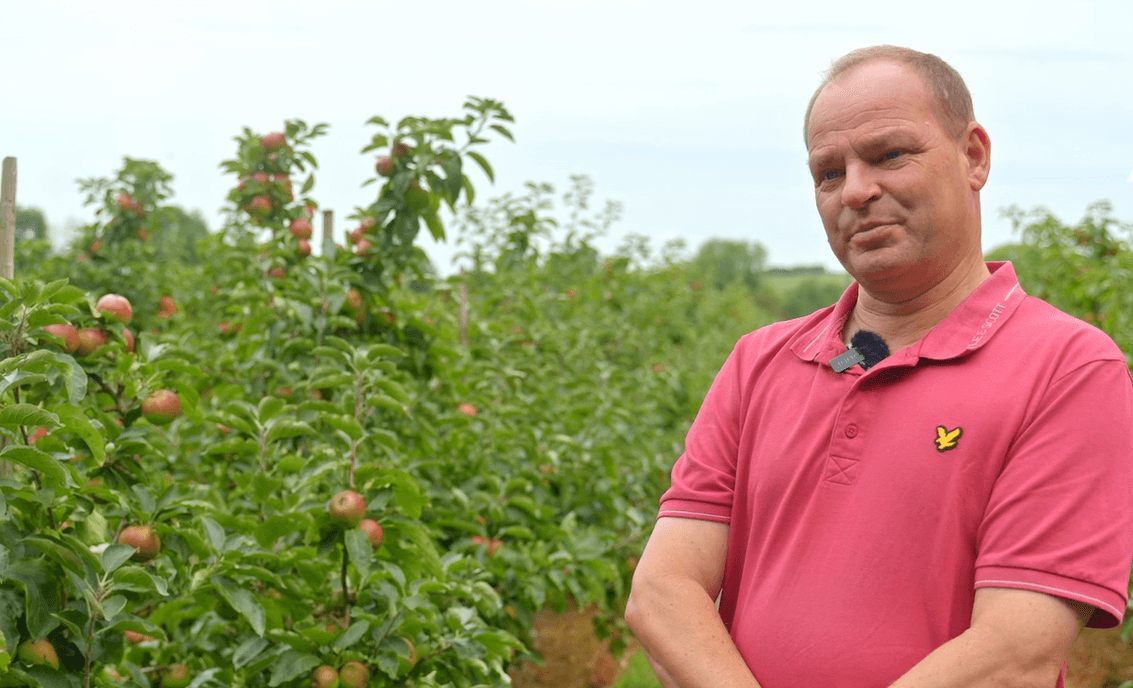 Cider and crisps made in Cahir: the juice is worth the squeeze at Con's apple farm