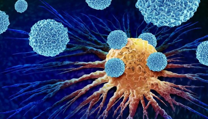 علاج مناعي جديد يقدم أملا واعدا لمرض سرطان الغدد الليمفاوية