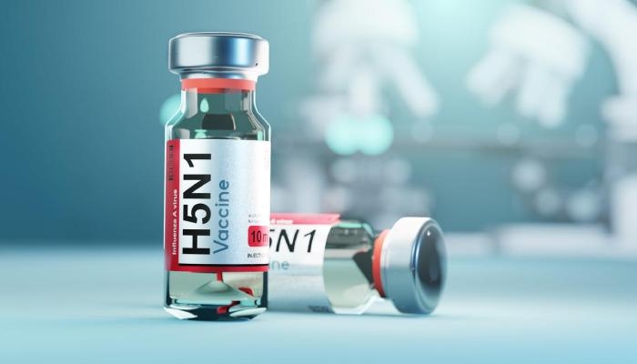 في خطوة علمية متقدمة.. باحثون يطورون لقاحا أنفيا لمكافحة إنفلونزا الطيور «H5N1»