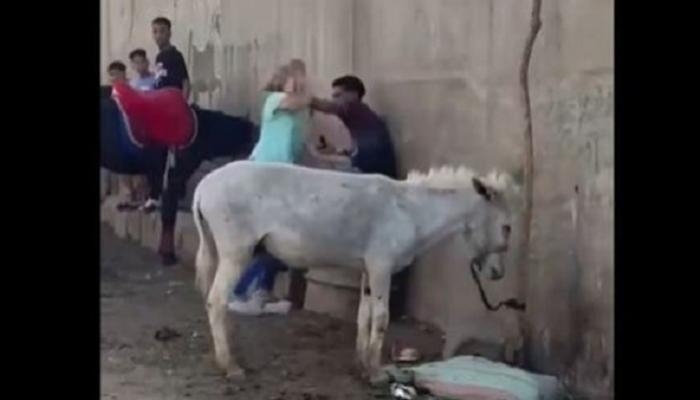 «الداخلية» المصرية تكشف تفاصيل فيديو ضرب «حمار» قرب الأهرامات
