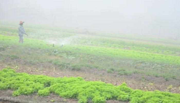 قبل أن تعصف الخماسين بمحاصيلك.. خبير زراعي يوصي بـ4 خطوات إنقاذ