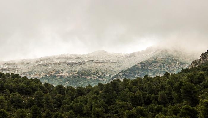 جبل السرج التونسي.. وجهة سياحية تجمع بين الطبيعة والجمال (خاص)