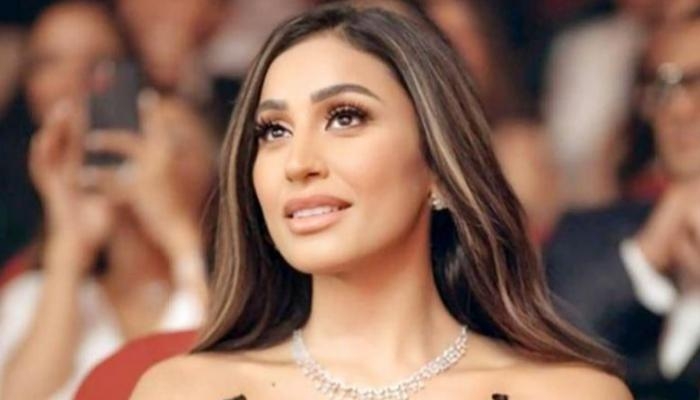 هل ارتبطت دينا الشربيني بشريف سلامة؟ ميمي جمال تحسم الجدل