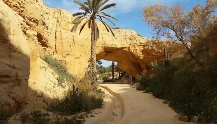 تونس تقترب من إدراج حديقتها الجيولوجية على قائمة اليونسكو (خاص)