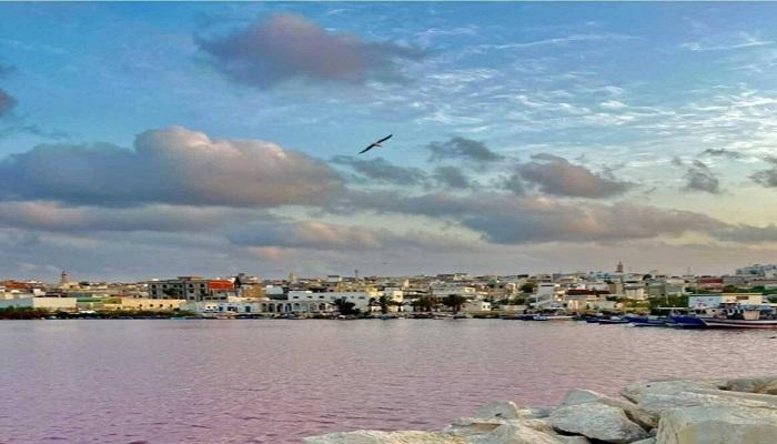 كارثة بيئية بلون الدم في تونس.. شواطئ المنستير تتحول إلى الأحمر