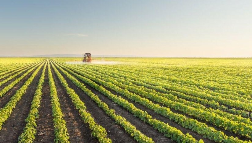 'جو جرين' تضخ 500 مليون جنيه استثمارات 2025