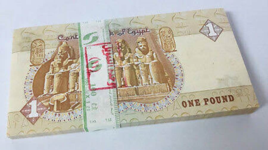 تريدينج ايكونوميكس: الجنيه المصري بين العملات الأفضل أداء مقابل الدولار خلال شهر يوليو