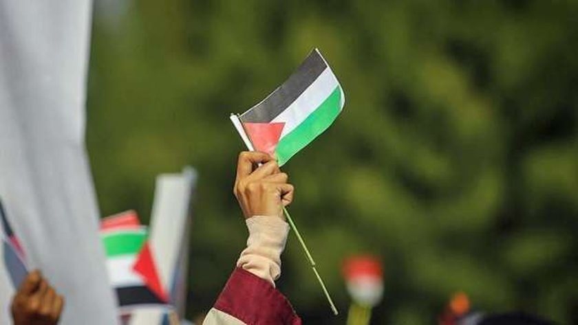 عام على الإبادة.. 5 أوراق ضغط استخدمها الفلسطينيون ضد الاحتلال الإسرائيلي