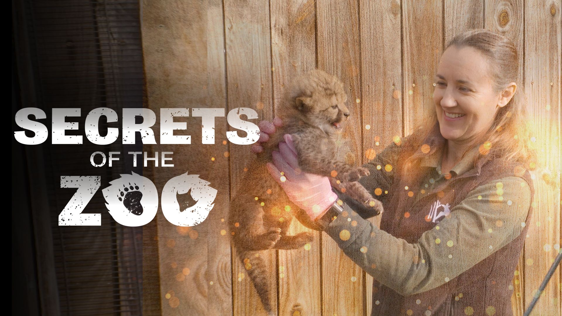 Secrets Of The Zoo: Trailer