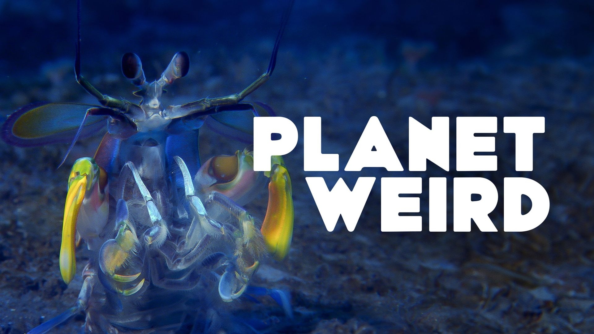 Planet Weird: Trailer