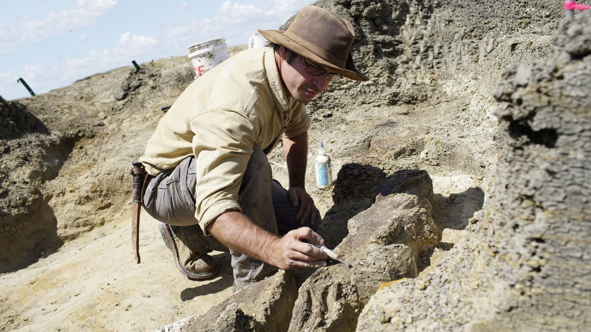 Dinosaur Apocalypse With Sir David Attenborough: Series 1 Episode 1 The New Evidence