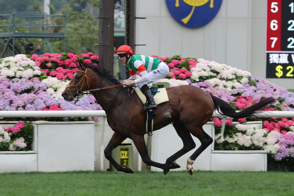 Hong Kong Racing: Tastiera Returns to Top Level with Victory in QEII Cup