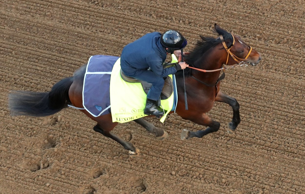 Chasing Victory in the 151st Kentucky Derby