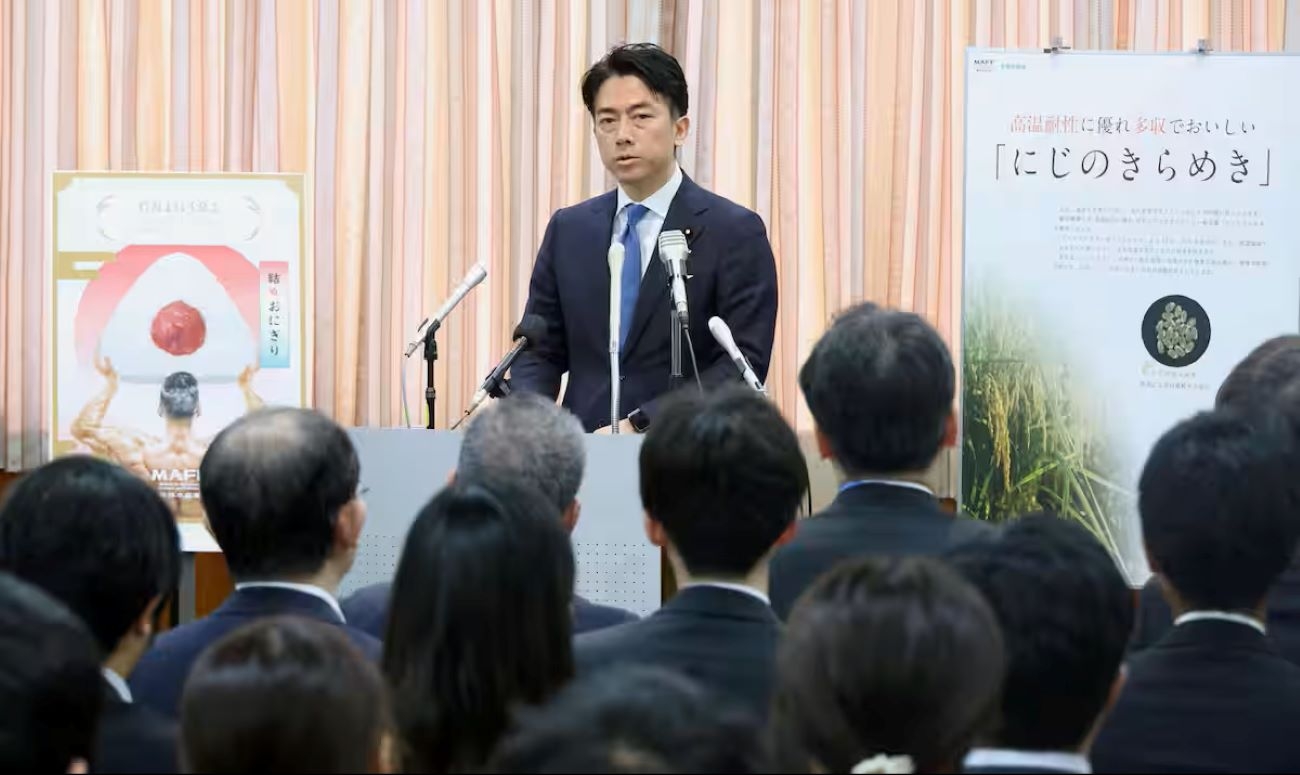 Only Extraordinary Measures for Rice Can Bring Prices Down