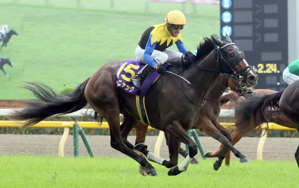 Yushun Himba: Kamunyak Snatches the 2nd Jewel of the Fillies' Triple Crown