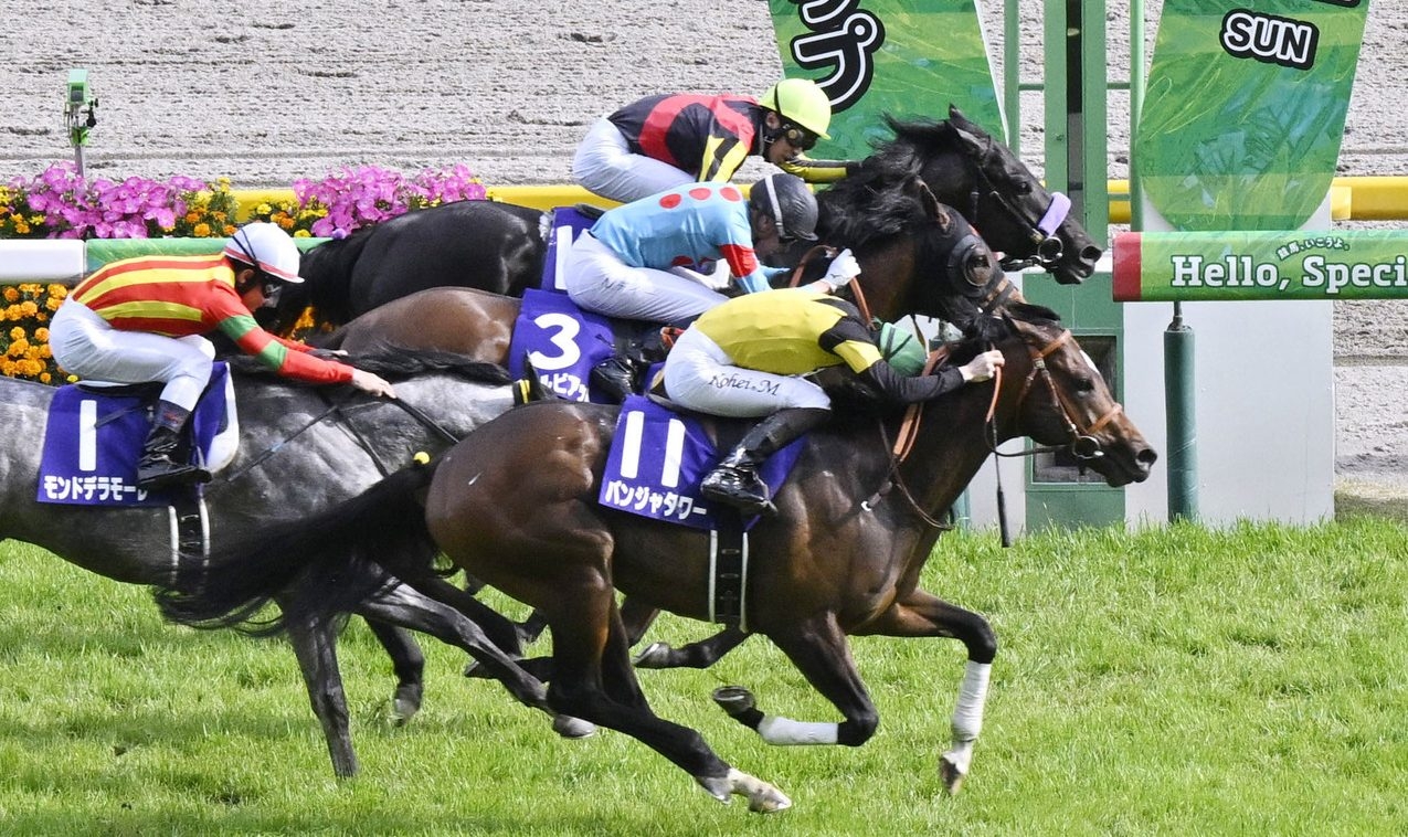NHK Mile Cup: Panja Tower Edges Magic Sands in a Thrilling Finish