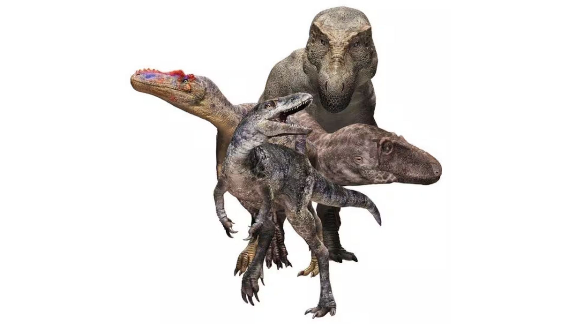 New Tyrannosauroid Species Offers Clues to Dino Evolution