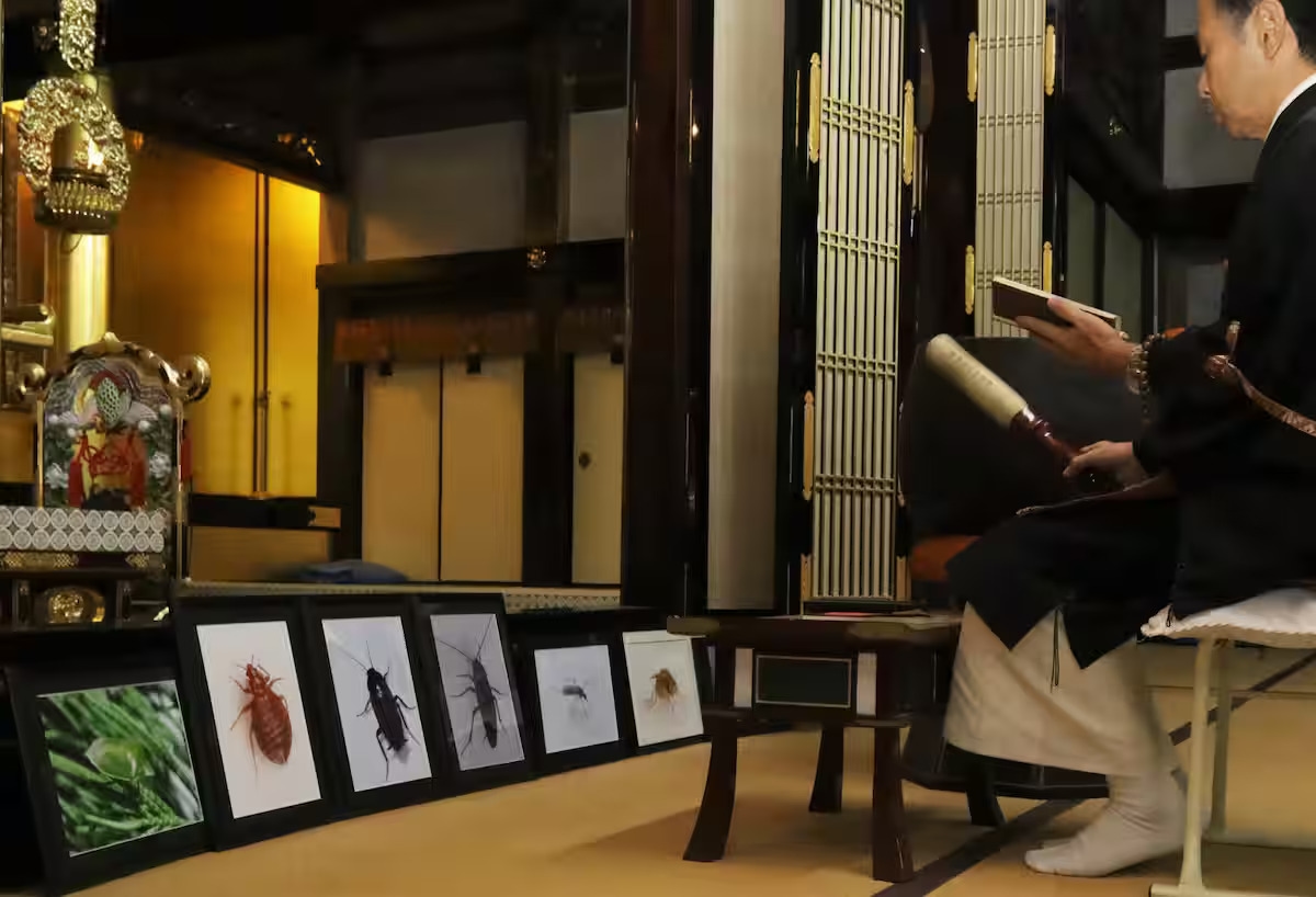The One Million Roaches Powering Japan's Pest Control Giant