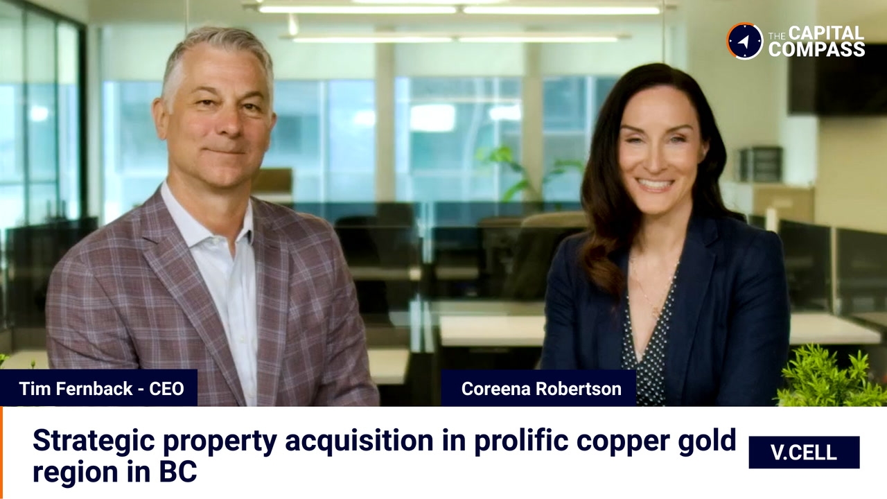 Strategic property acquisition in prolific copper-gold region in BC