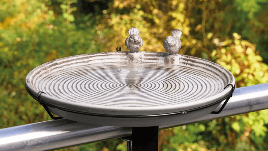 Attract the birds to your backyard without splashing out: Snap up Aldi's $10 bird bath