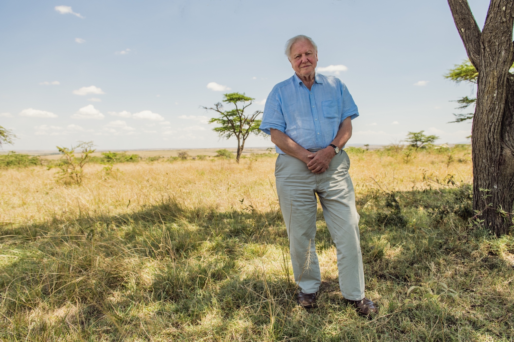 David Attenborough celebrates a milestone birthday — 3 of his best Netflix documentaries to stream now