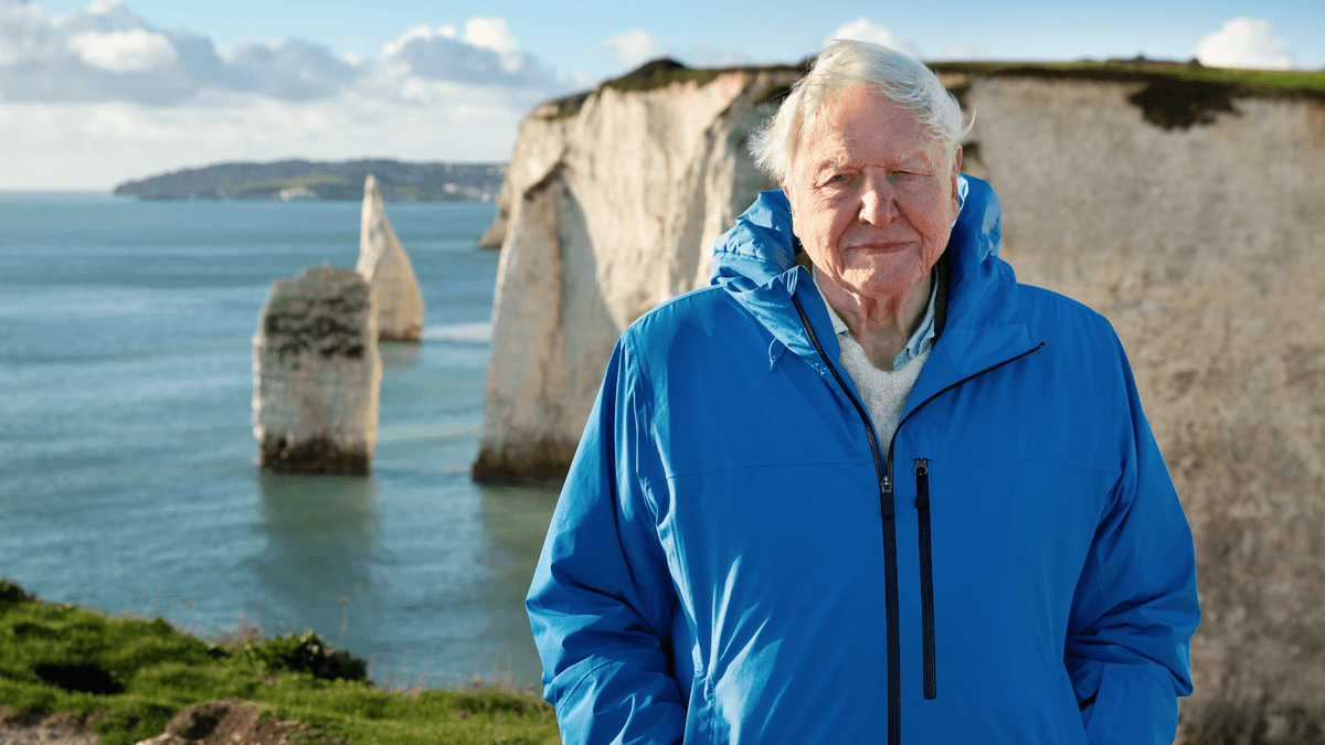 How to watch 'Ocean with David Attenborough' online from anywhere