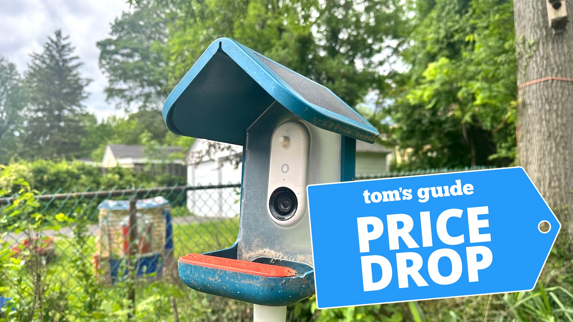 I love watching birds with the Bird Buddy smart feeder — and it's 40% off